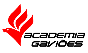 Automacao Gavioes (Logotipo)