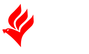 Automacao Gavioes (Logotipo)